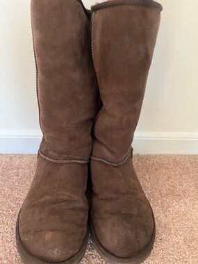 UGG Chestnut Brown Suede Mid-Calf Tall Boots